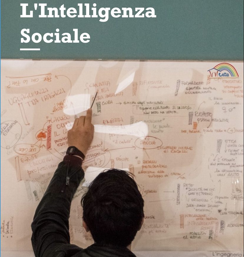 L'intelligenza Sociale newsletter di Lella 2001